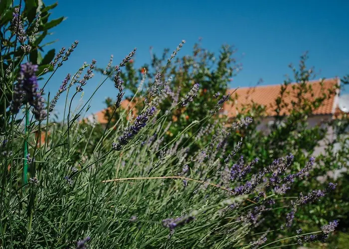 Blaise Апартаменты *