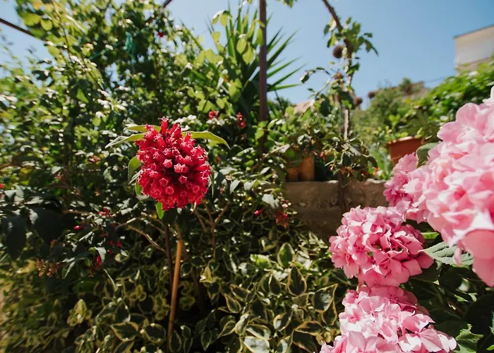 Blaise * Трогир