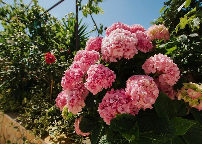 Апартаменты Blaise Трогир